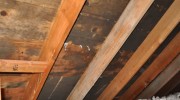 Roof Leaks and Mold