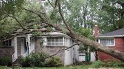 Storm Damage